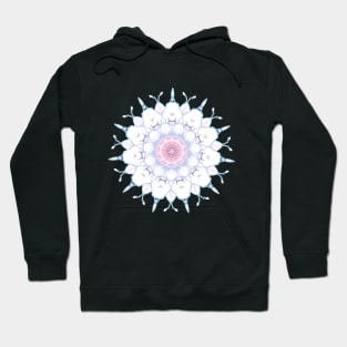 Ink Mandala Hoodie